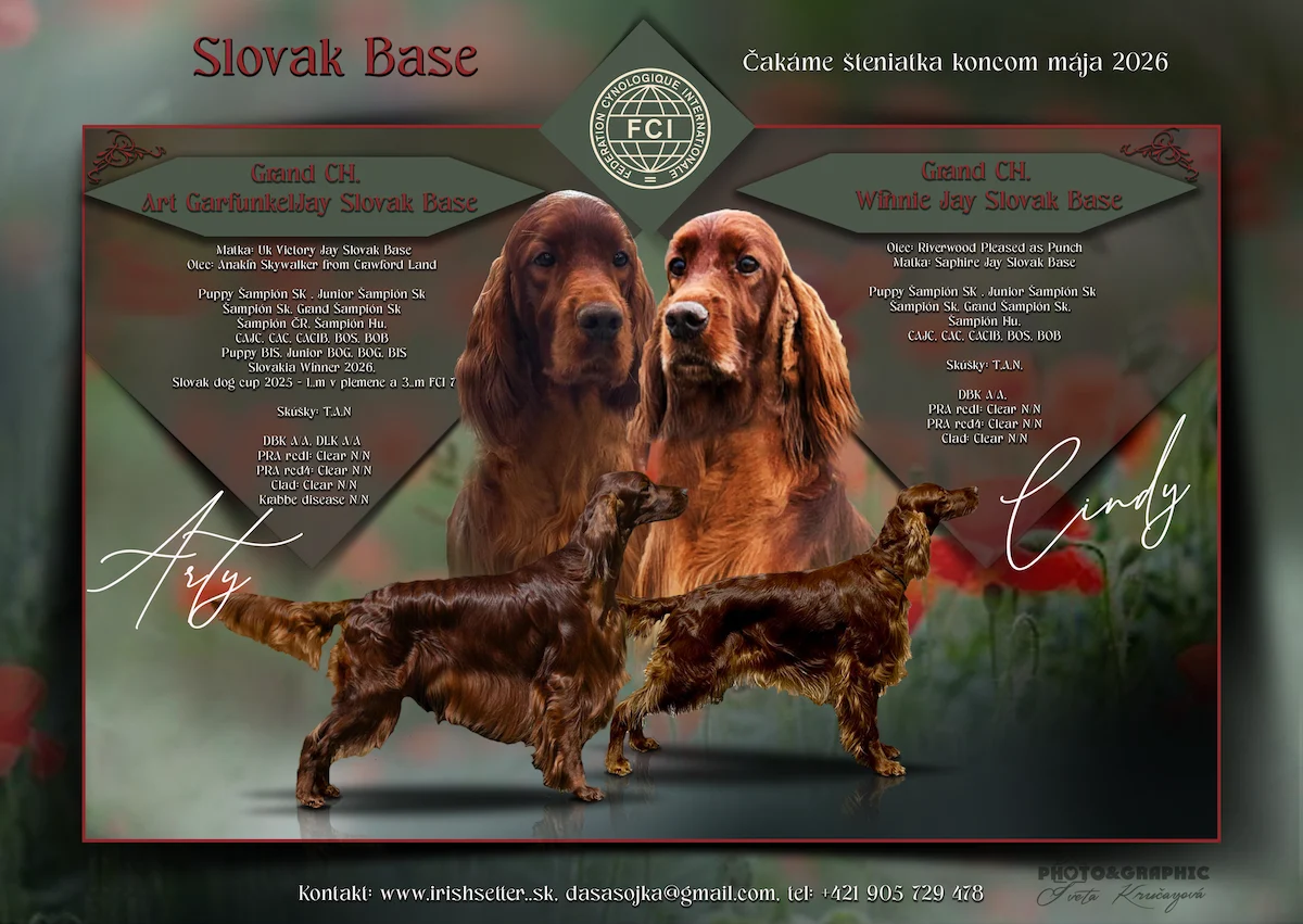 Slovak base